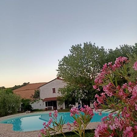 Agriturismo La Locandiera Montemerano Luaran gambar
