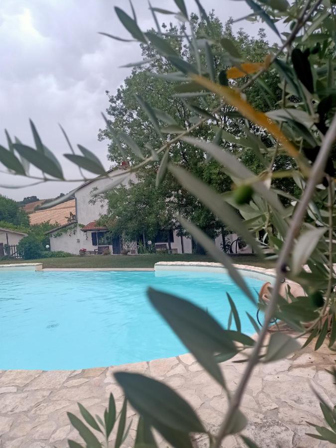 Agriturismo La Locandiera Montemerano Luaran gambar