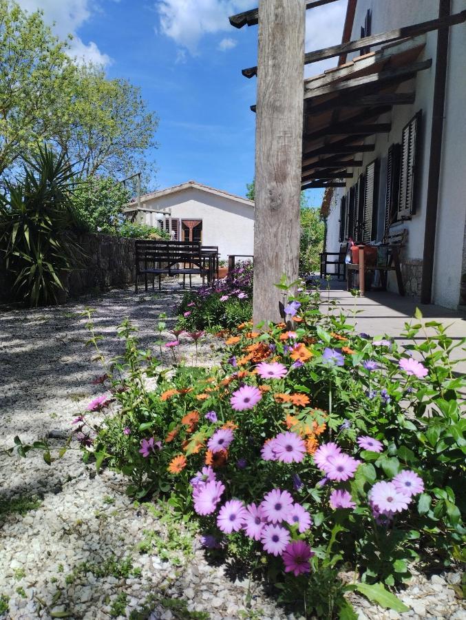 Agriturismo La Locandiera Montemerano Luaran gambar