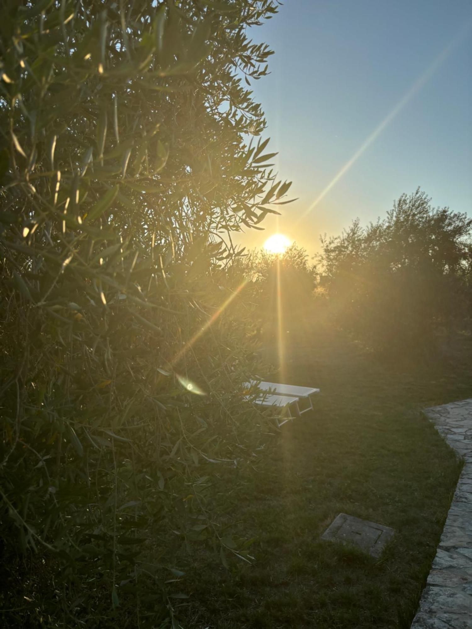Agriturismo La Locandiera Montemerano Luaran gambar